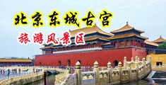 日操夜操外国胖女人中国北京-东城古宫旅游风景区